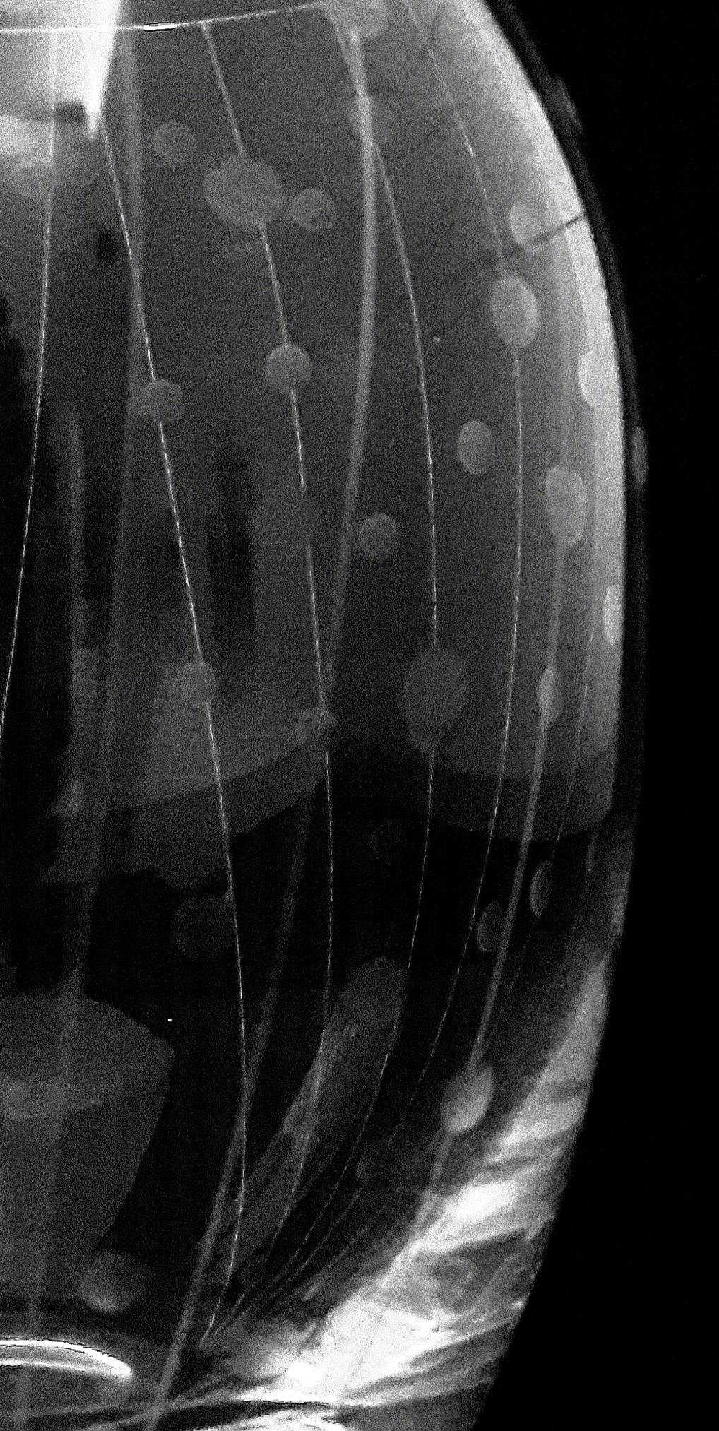 Vase Bohemia Kristallglas Celebration